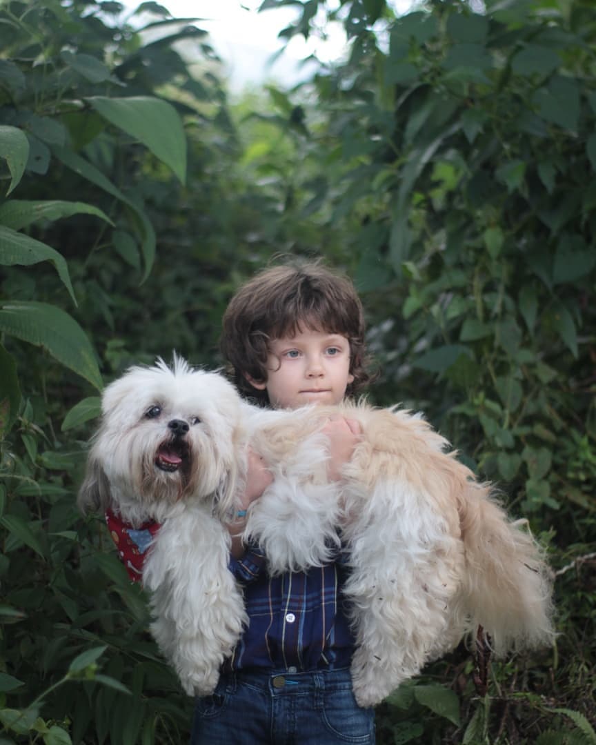 Fotografía original: retrato de niño con perros y acabado cinematográfico