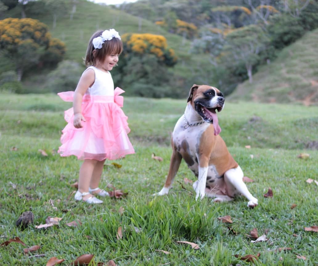 Fotografía original: retrato de niña y perro con acabado cálido