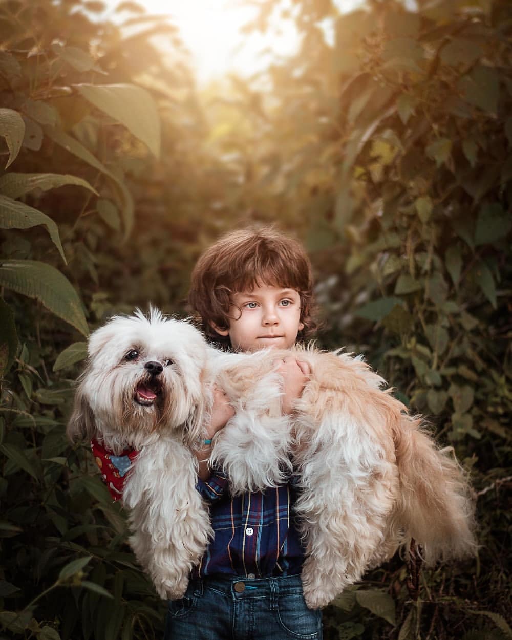Retrato de un niño abrazando a su perro entre vegetación dorada